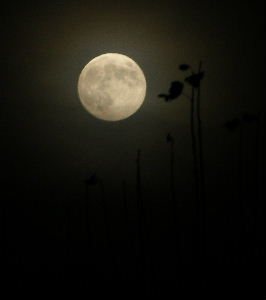 Full moon over Edinburgh