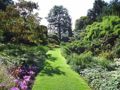 Royal Botanic Garden