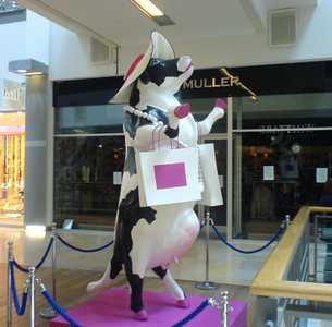 Cowshopper at Ocean Terminal